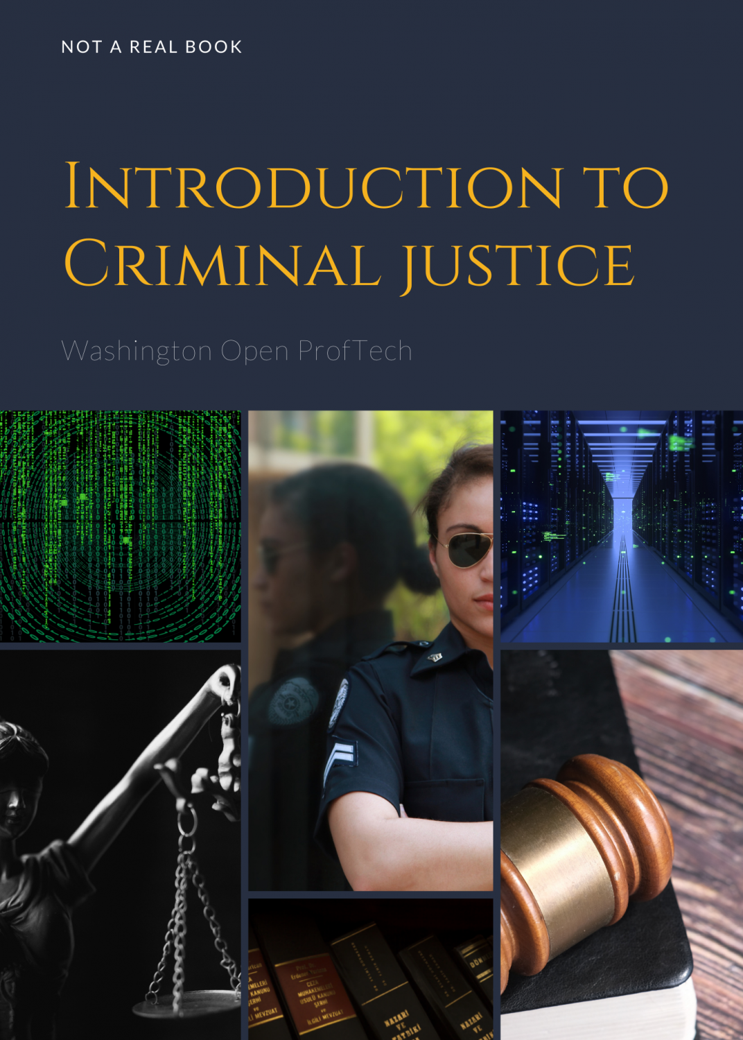 Cover image for Introduction to Criminal Justice