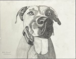 Graphite drawing of a smiling boxer dog