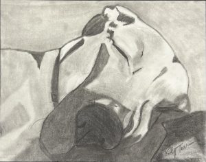 Graphite drawing of a boxer dog sleeping