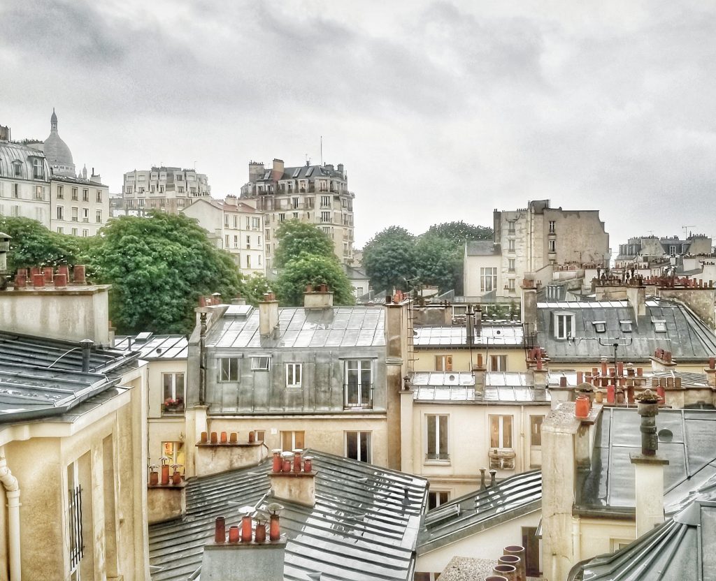 Photograph of Paris rooftops with trees on a cloudy day