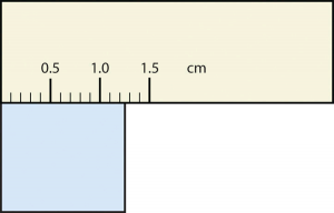 Rectangle is between 1.2 and 1.3 cm wide.
