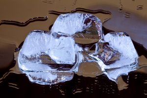 Ice cubes melting into a puddle.