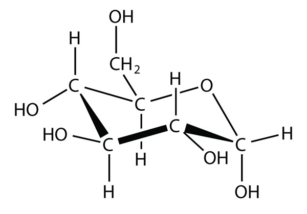 Glucose