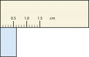 Rectangle is between 0.6 and 0.7 cm.