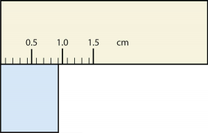 Rectangle is 0.9 cm wide.