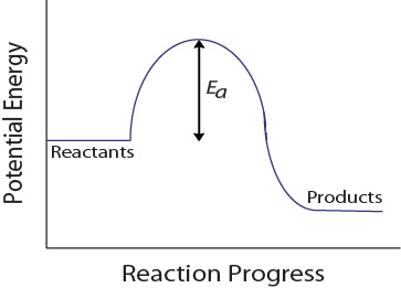 Potential energy diagram for a hypothetical reaction.