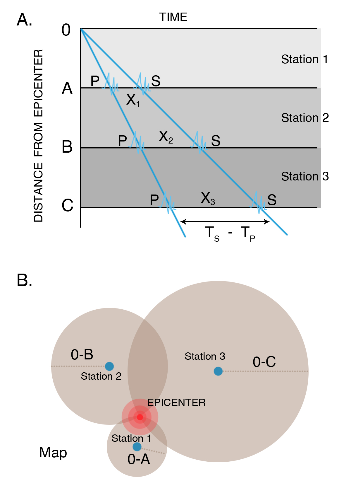 Two views of (a) P waves and (b) S waves, all moving from left to right