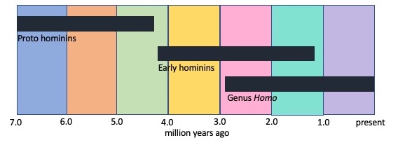 timeline of hominin evolution