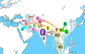 distribution map of haplogroups in Asia