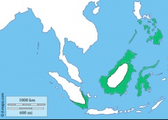 map of Indonesian islands showing distribution of tarsiers