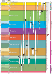 graphic of geologic time scale