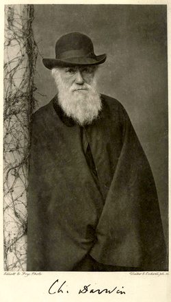 Sepia photo of Charles Darwin