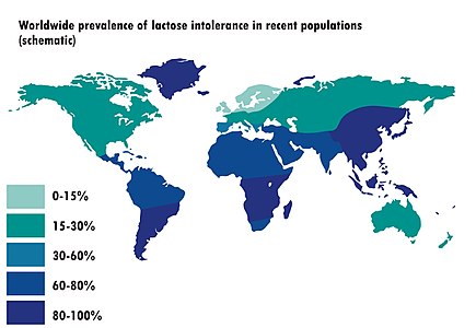 distribution map of lactose intolerance