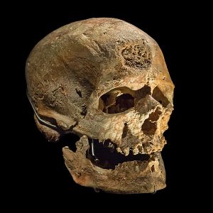 photo of reconstructed archaic Homo sapiens cranium (Cro-Magnon)