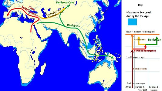 map of the Old World showing spread of the Denisovans