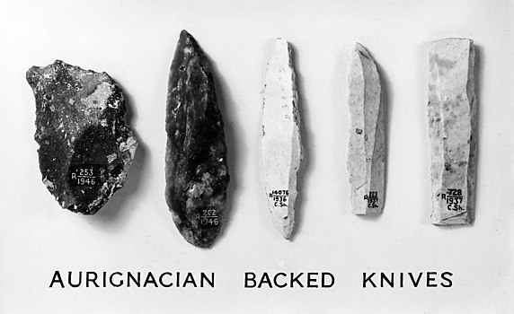 photo of Aurignacian backed knives