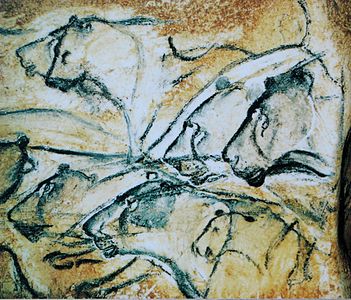 photo of museum replica of lions cave painting from Chauvet Cave