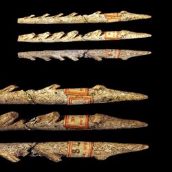 photo of six Magdalenian harpoon points