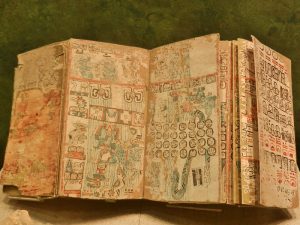 Several pages from one of the Maya codices. Maya writing and illustrations can be seen.