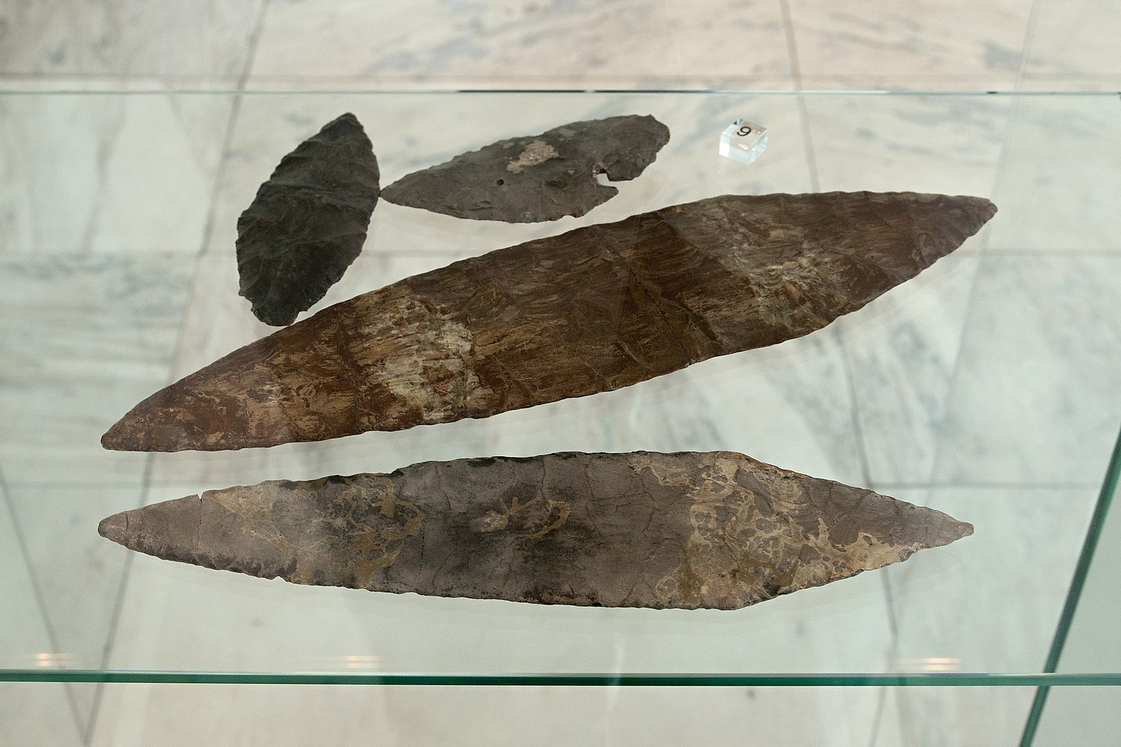 Paleolithic tools in museum display case
