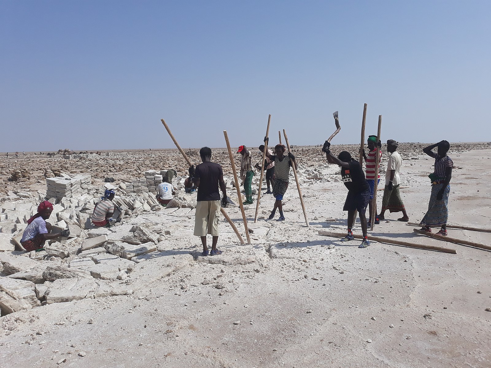 Men in large, barren salt plain, olding stickes and axes, with piles of salt tablets.