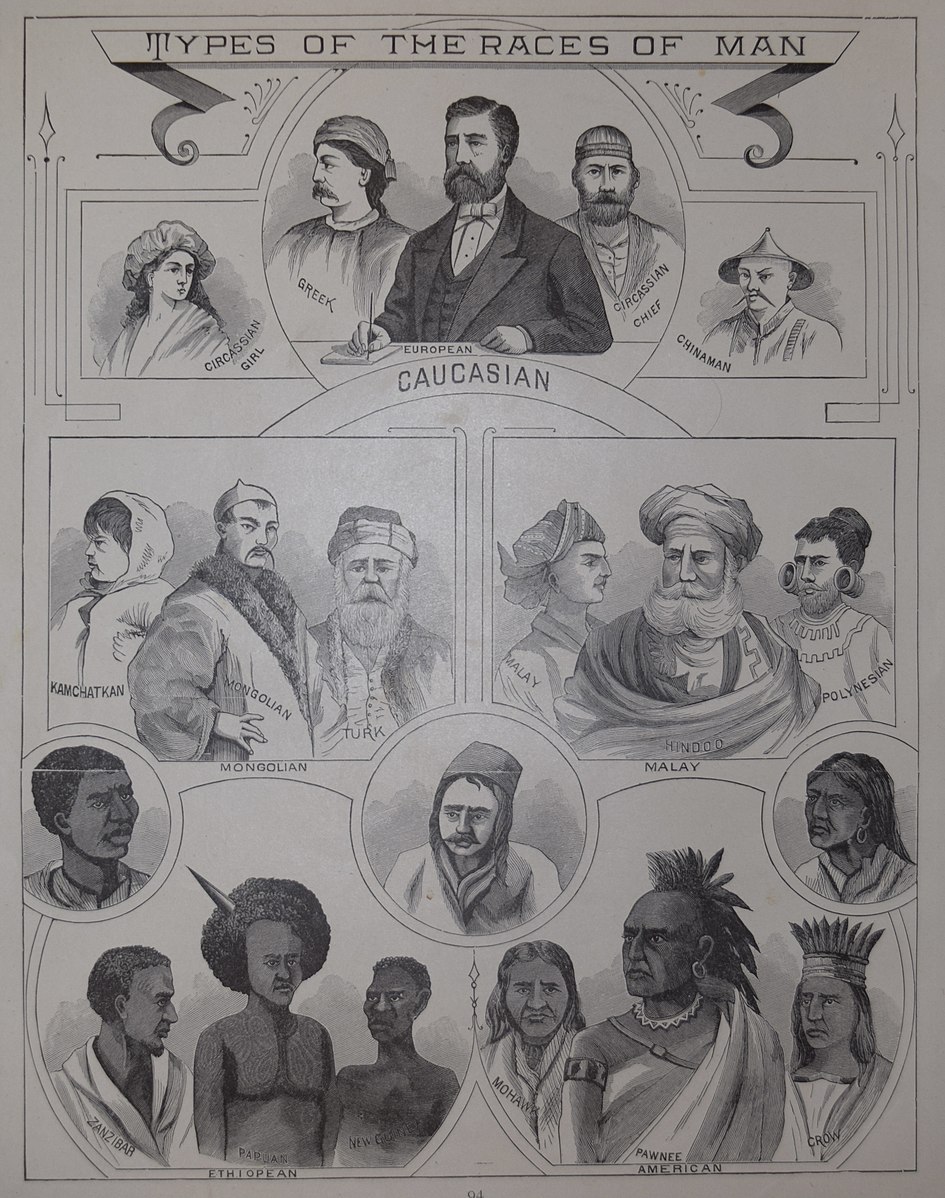 Drawn illustration showing stylized versions of different races.
