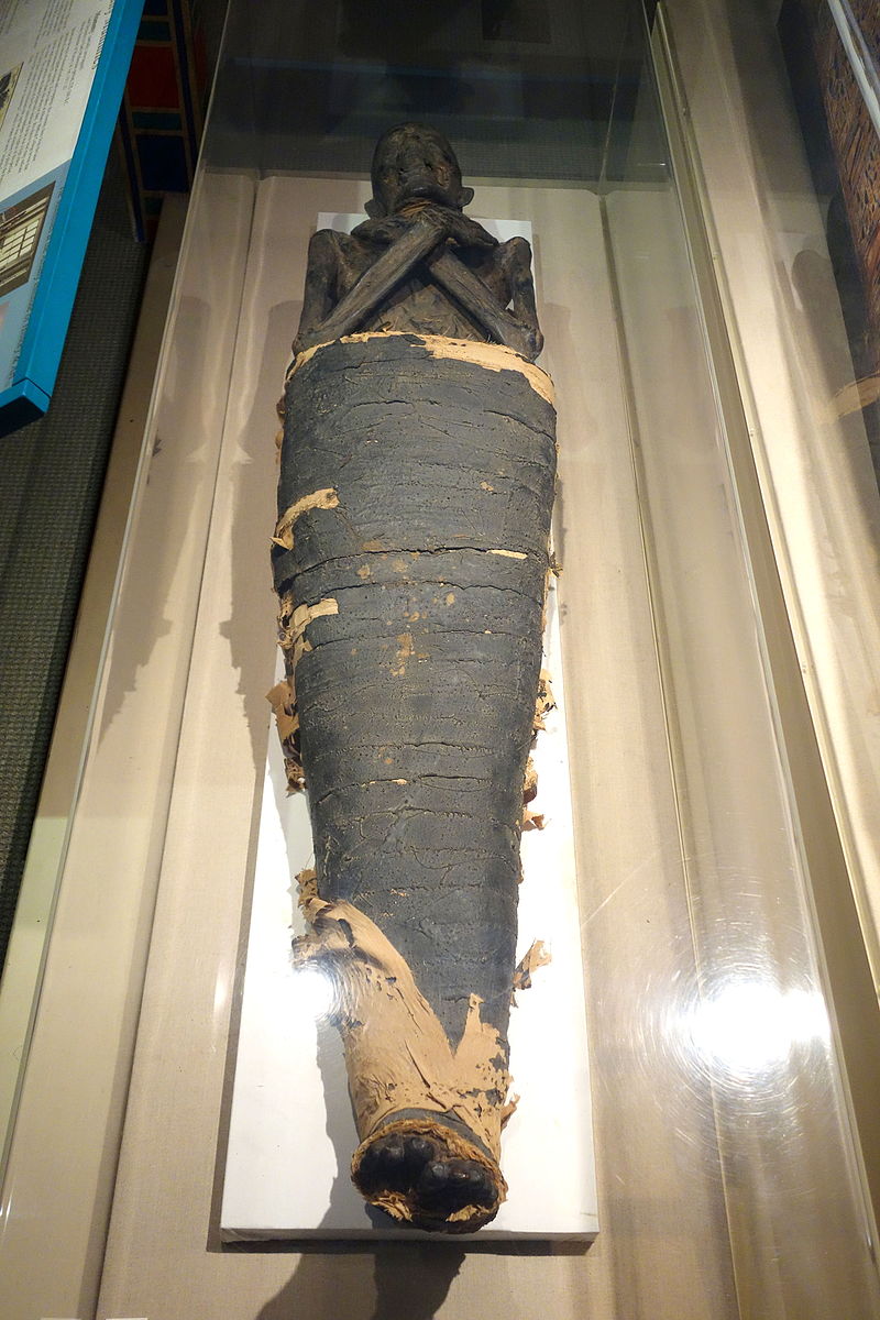 Mummy with ancient, frayed wrappings on lower half, and exposed desiccated skeleton of top half (head, arms, torso) visible. Arms are crossed across chest.