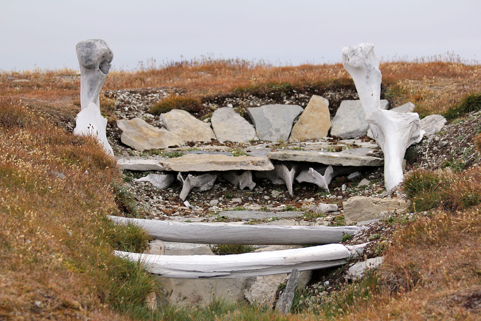 Partial remnants of house built out of wood, stones and large animal bones, set in barren landscape