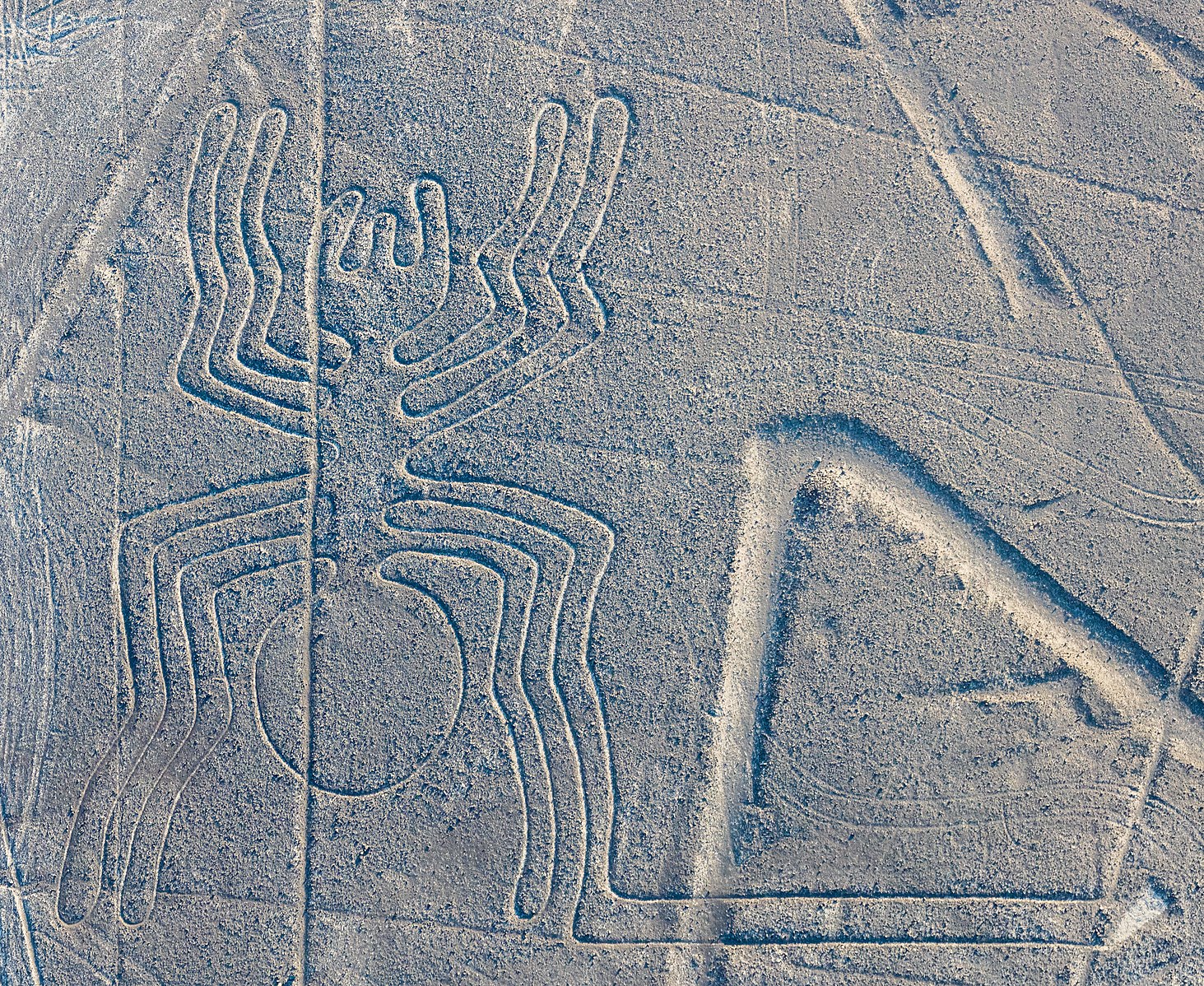 Aerial view of earthen mounds and lines depicting a stylized spider figure