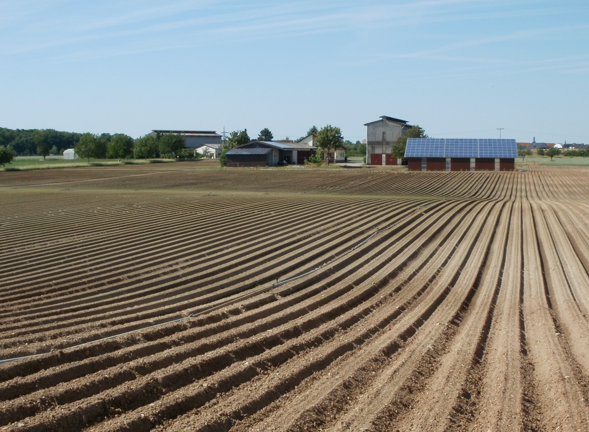 plowed field with farm structures in the background