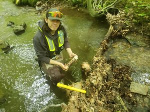 USGS water science technician installs a stream temperature logger.