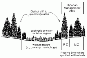 Diagram showing the riparian management zone adjacent to streams, wetlands, and ponds.