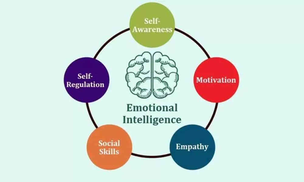 A picture of a brain with the words emotional intelligence is in the center of a ring with 5 circles which say self regulation, self-awareness, motivation, empathy, and social skills.