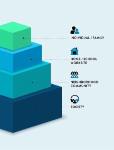 A set of concentric circles shows social determinants of health: individual/family, home/school/work, community, and society.