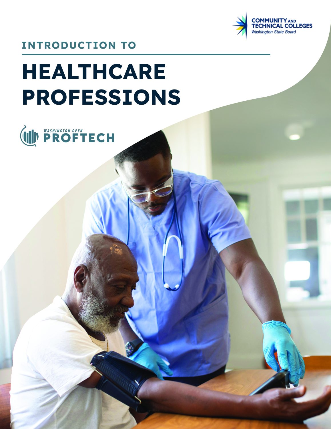 Cover image for Introduction to Healthcare Professions