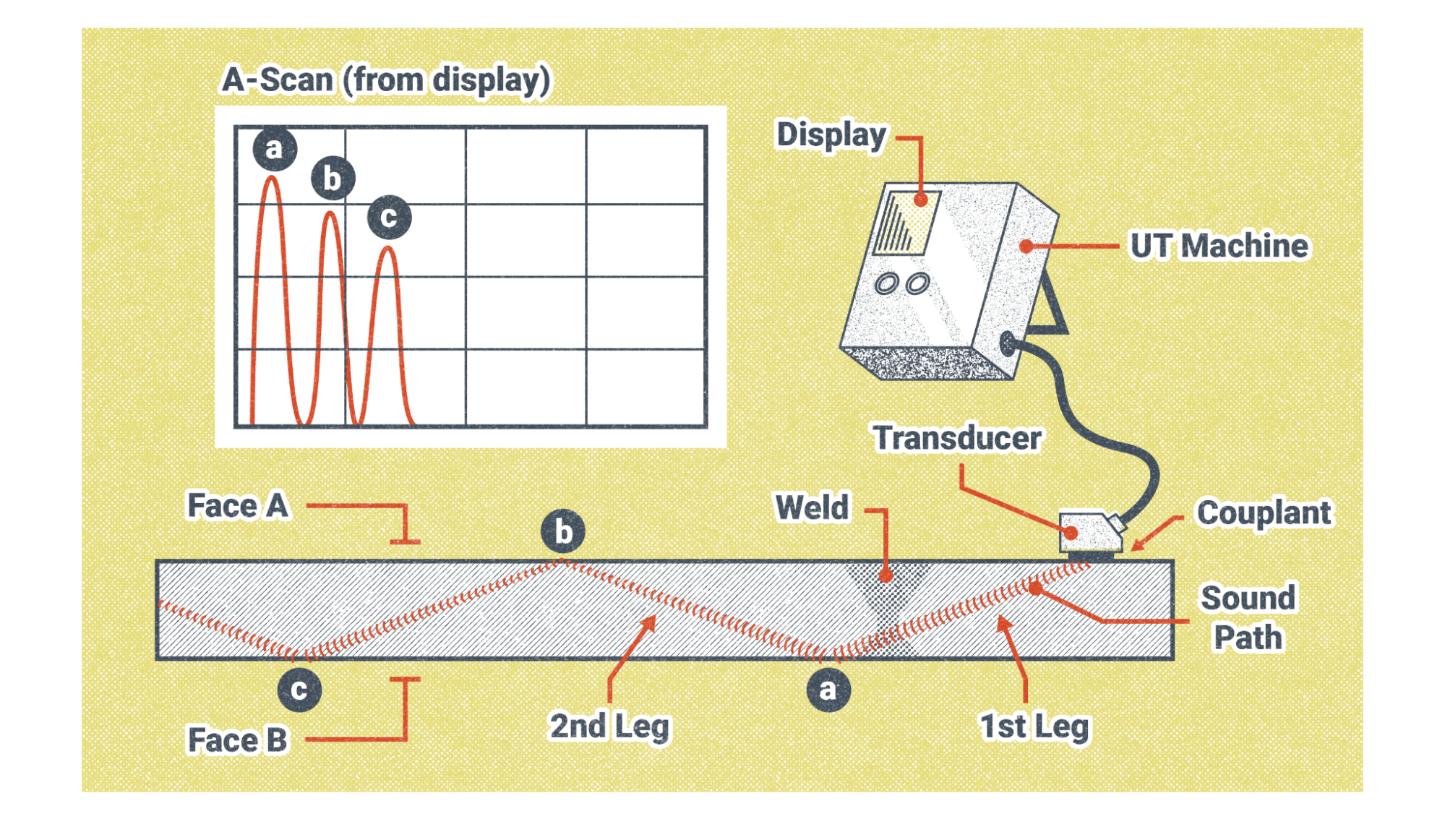 From left to right: A chart labeled A-Scan (from display) shows a sine wave running across a chart. This is the display from the UT Machine, which is pictured to the right. It is a small square box with a stand to prop it up. It includes two buttons and a display screen. A cord runs from the UT Machine to the transducer. The transducer is placed on the right side of the weldment. The couplant, which is usually a gel rubbed beneath the transducer is labeled as well. A dashed red line, representing how sound would travel across the weldment, forms a series of long zig zags through the weldment. The sound path is labeled 1st leg for when the sound leaves the transducer and goes to the bottom of the weldment and reaches a point marked a, then bounces up in the 2nd leg, which moves up to marker b, to bounce back down to point c, and then rise again. The weldment is labeled Face A, the top of the weldment, and Face B, the bottom of the weldment.