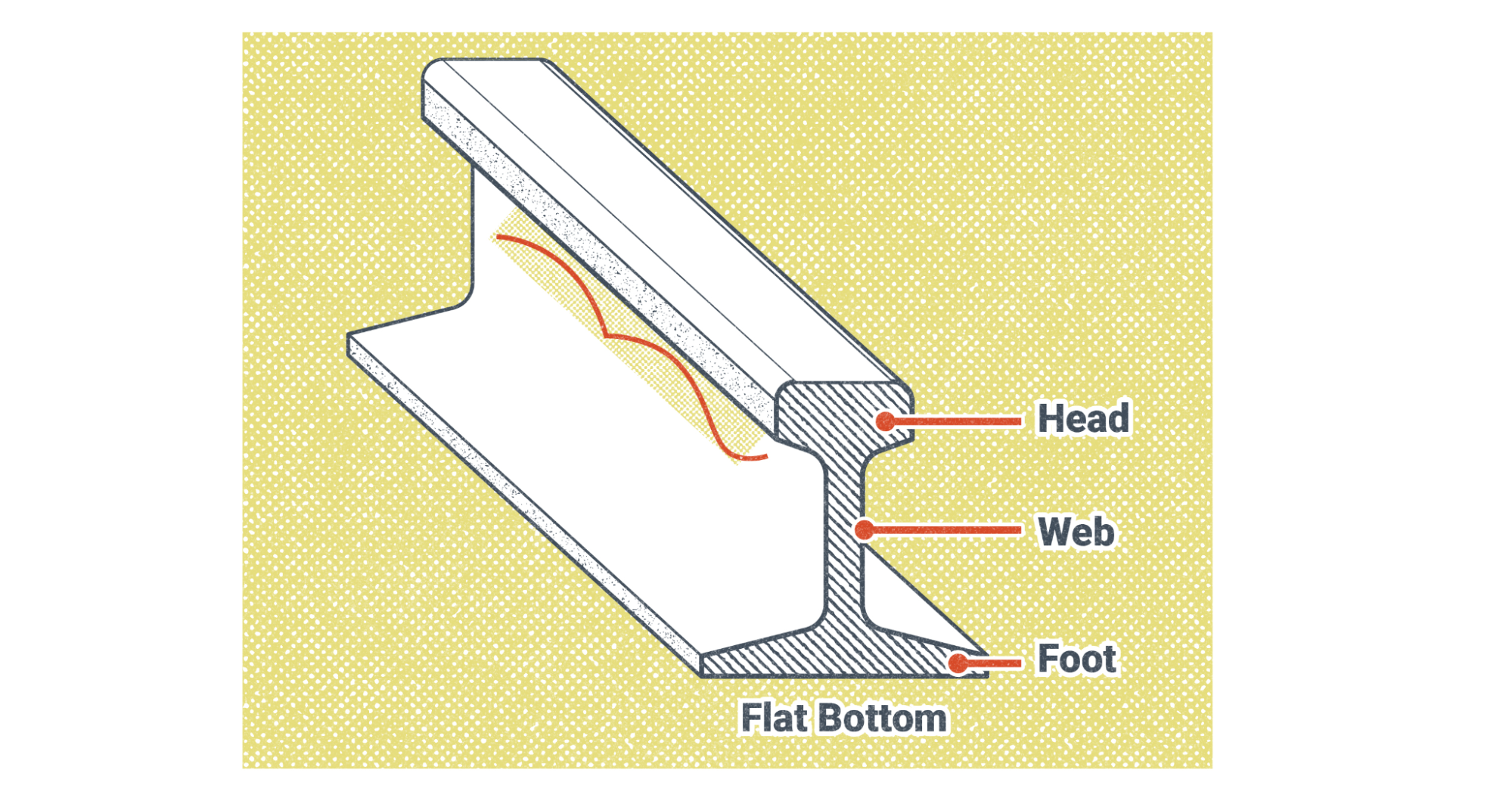 Crack shown in a railroad rail. The rail is labeled head, at the top where the train wheels would fit around the rail. Web, the thin part below the head. Finally, foot is labeled, which is the wide flat bottom that helps to hold the rail stead and where spikes would be driven to secure the rail. A crack is shown below the head on the web of the rail.