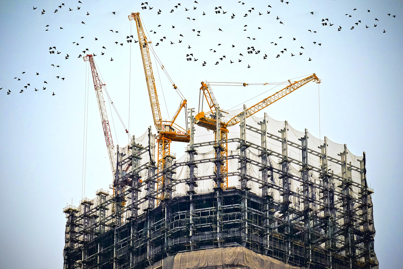 A building under construction has 3 large tower cranes at the top of the structure.