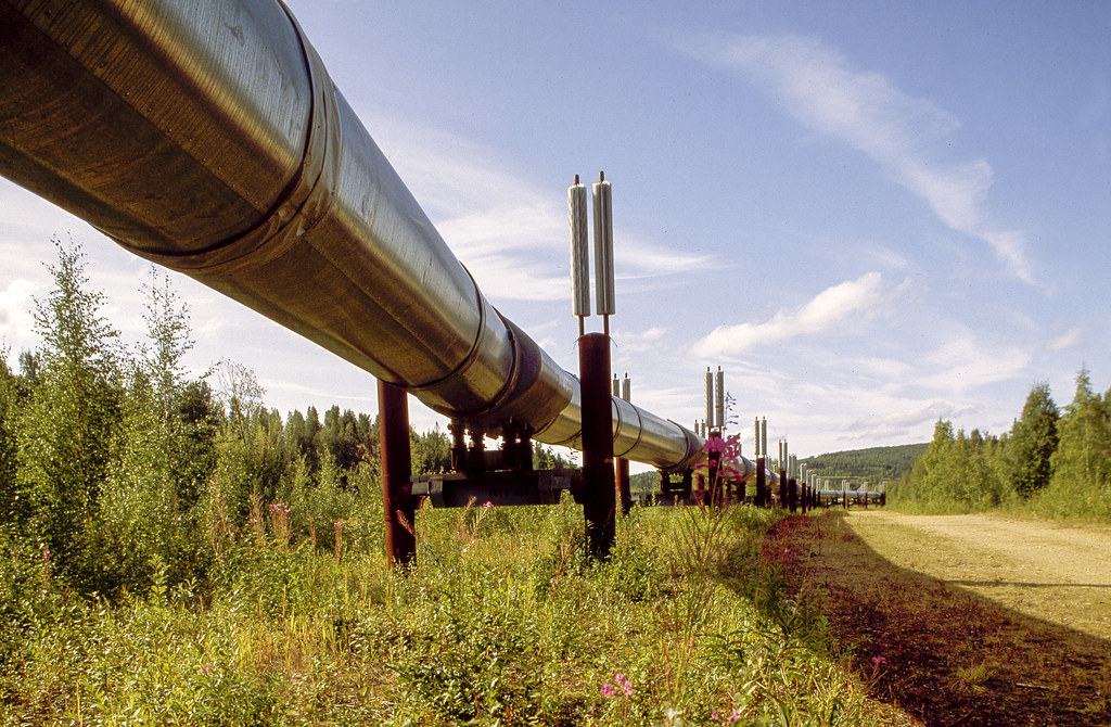 A large cross country pipeline is elevated on legs in a meadow.