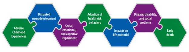 Potential effects of Adverse Childhood Experiences