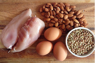 Sources of protein