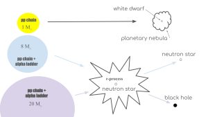 Three stars and their fates. The first star is one solar mass and labeled p p chain. It becomes a white dwarf and a planetary nebula. The second star is 8 solar masses and labeled p p chain plus alpha ladder. the third star is labeled 20 solar masses and says p p chain plus alpha ladder. both the second and third stars will go supernova. the supernova is labeled r process. the smaller of the two will become a neutron star and the larger will become a black hole.