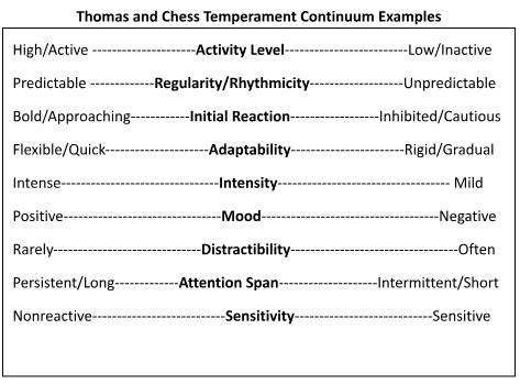 Temperament Scale indicating variability in activity level, regularity/rhythmicity, initial reaction, adaptability, intensity, mood, distractibility, attention span, sensitivity.