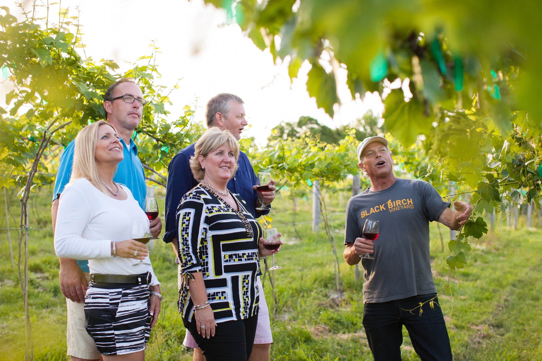 Five people stand in the aisle of a vineyard, looking at the grapes and holding glasses of red wine.