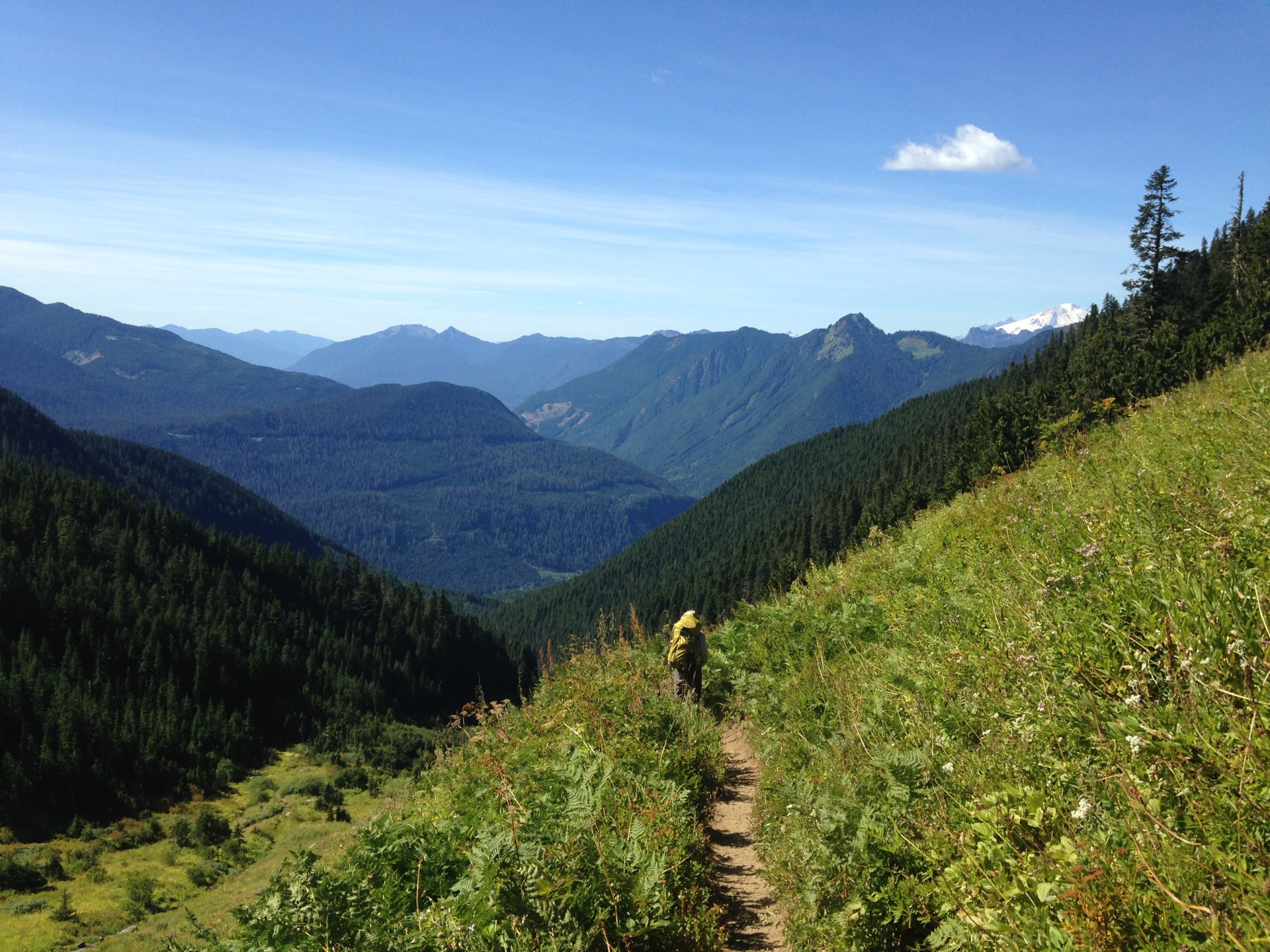 A tourist hiking in the mountains of Washington State.