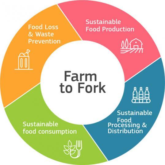 This graphic shows the Farm to Fork Strategy aims to achieve sustainability by addressing food loss & waste prevention, sustainable food production, sustainable food consumption, and sustainable food processing & distribution.