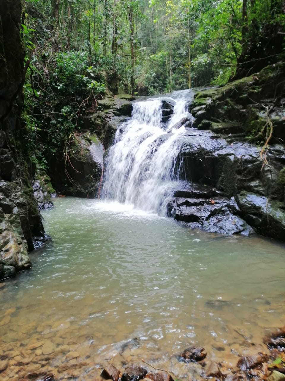 A waterfall in the mountains of Colombia, South America.