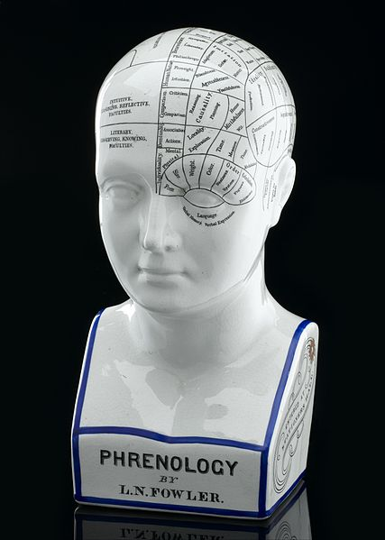 A white marble museum-style bust of a bald human, with different regions of the brain drawn at their respective locations. The words “PHRENOLOGY by L.N. Fowler” appear on the lower front of the bust.