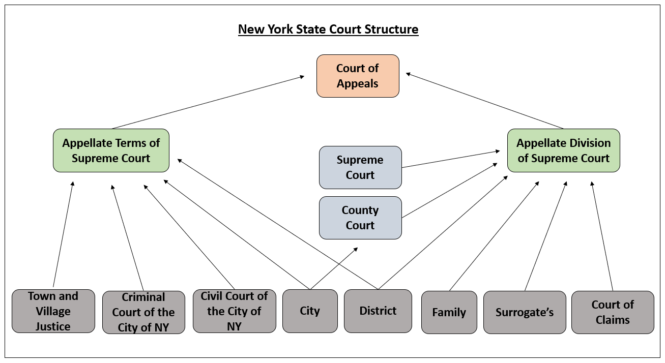 Diagram depicting a complex court structure with various courts designated for specific government levels and case types