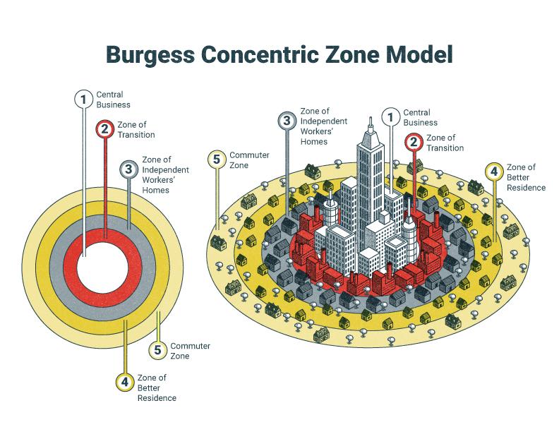 A circle on the left shows five concentric-numbered rings identifying certain zones found within the radius of a city. The figure on the right is a depiction of how those zones might look in an ecological overlay of a city.